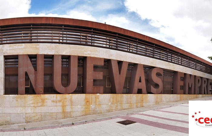 Un a�o m�s el CEEI Guadalajara destaca por su contribuci�n al emprendimiento entre los viveros de empresas europeos �