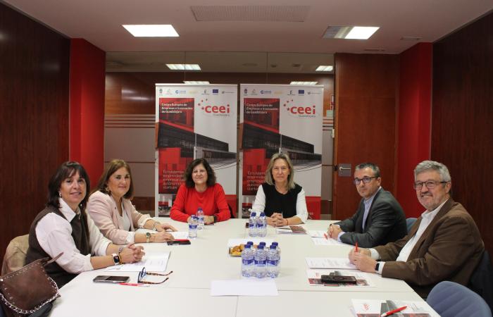 CEEI Guadalajara cierra 2025 con datos hist�ricos con cerca de 20  millones de euros de negocio de sus empresas instaladas�