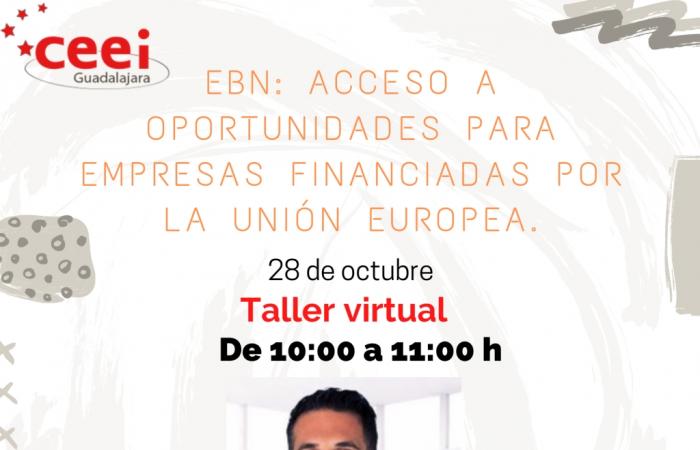 TALLER VIRTUAL EBN: ACCESO A OPORTUNIDADES PARA EMPRESAS  FINANCIADAS POR LA UNI�N EUROPEA�