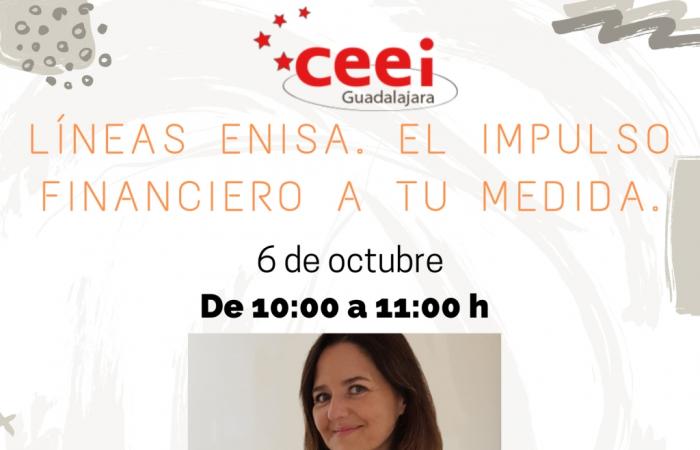 TALLER VIRTUAL . L�NEAS ENISA: EL IMPULSO FINANCIERO A TU MEDIDA�