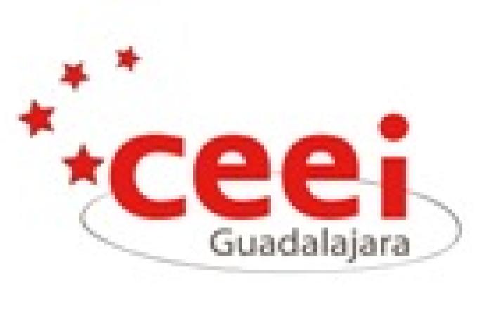 PROTECCI�N ONLINE DE LOS DERECHOS DE PROPIEDAD INTELECTUAL (DPI) EN EL SECTOR TEXTIL, DE LA MODA, Y EN EL COMERCIO ELECTR�NICO�